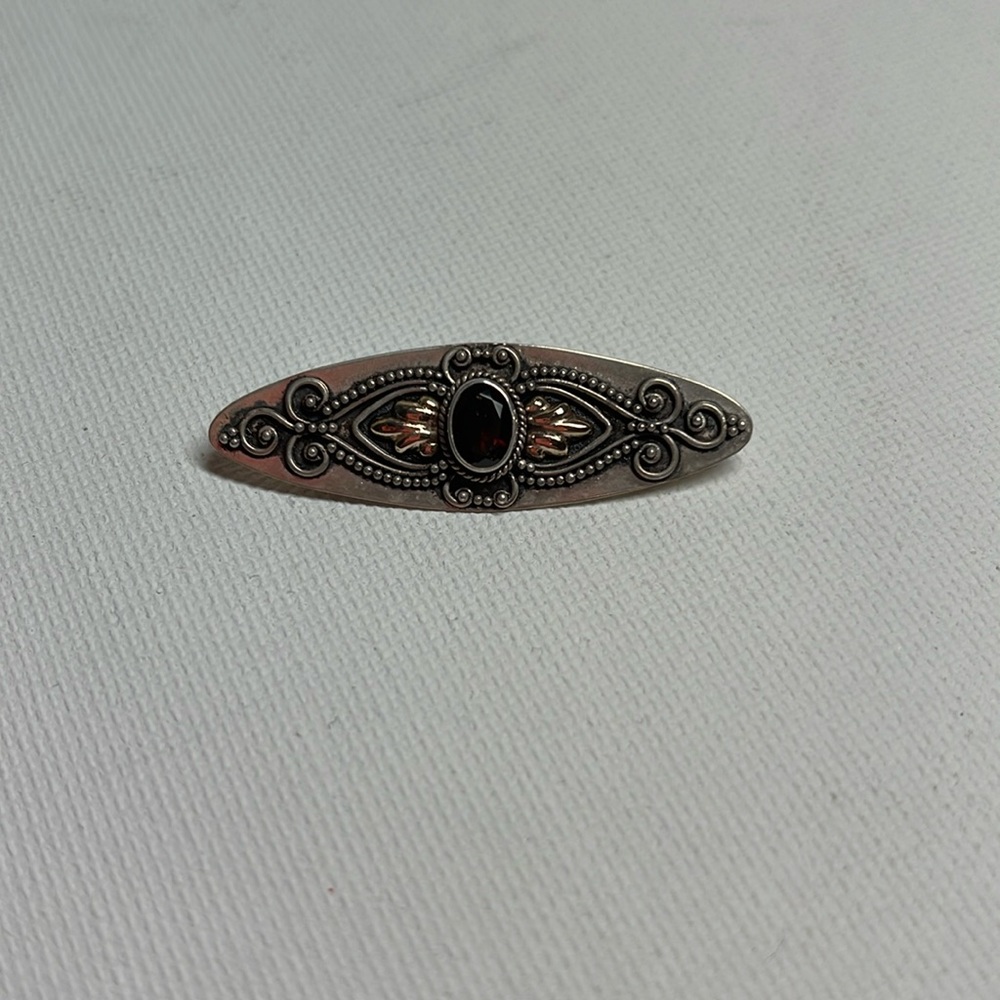 Sterling Silver and Garnet pin